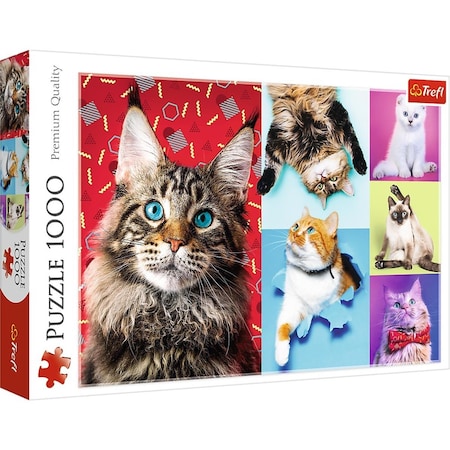 Trefl -10591 Happy Cats Jigsaw Puzzle - 1000 Piece Trefl-10591